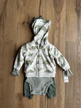 Carter's Gray and Green Dinosaur Hoodie Set